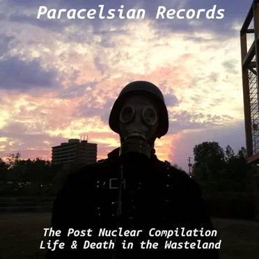 Life & Death in the Wasteland the Post Nuclear Compilation by Various Artists - album cover
