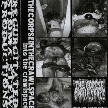 Into The Crawlspace