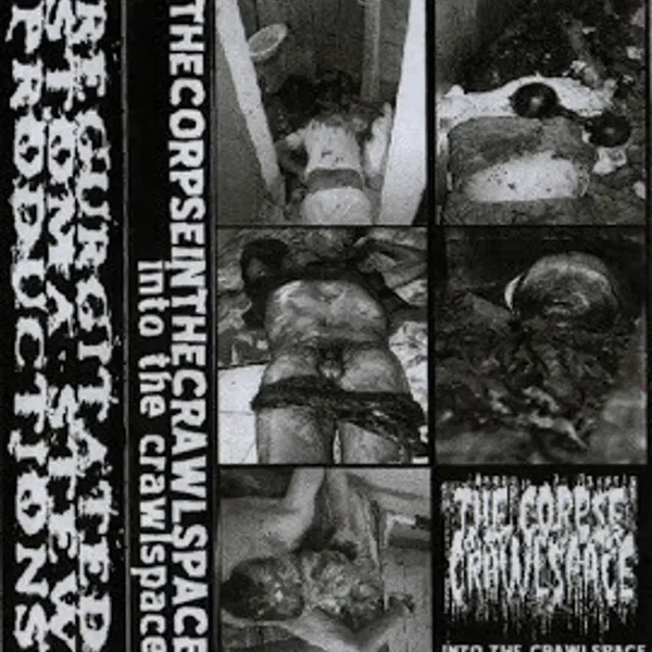 Into The Crawlspace