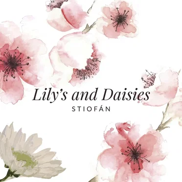 Lily's and Daisies by Stiofán - album cover