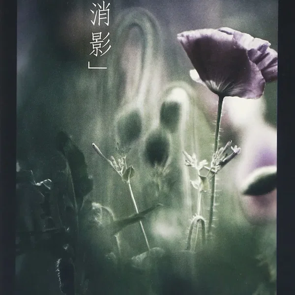 消影