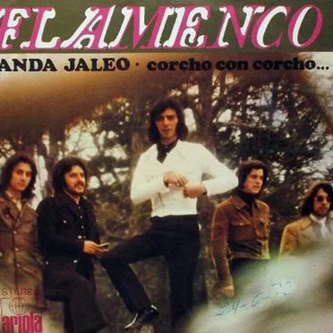 Anda jaleo / Corcho con corcho by Flamenco - album cover