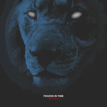 Frozen in Time