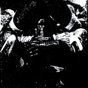 Goat Vulva
