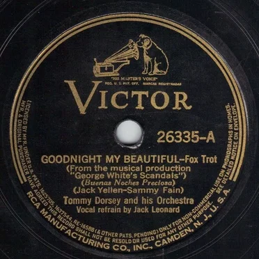 Goodnight My Beautiful / Are You Having Any Fun?