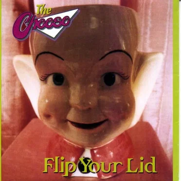 Flip Your Lid
