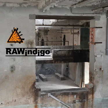 Raw Indigo V 3.1 by Raw Indigo - album cover