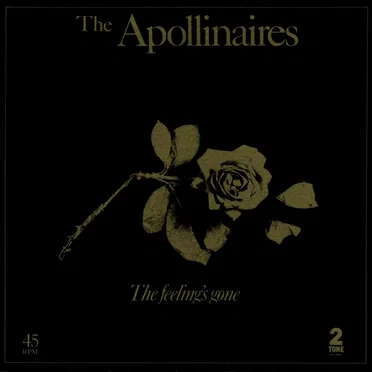 The Feeling's Gone by The Apollinaires - album cover