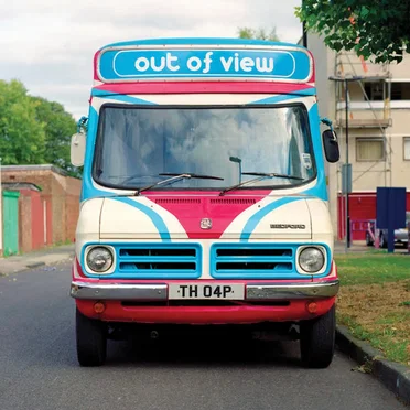 Out of View by The History of Apple Pie - album cover
