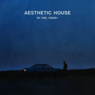 Aesthetic house
