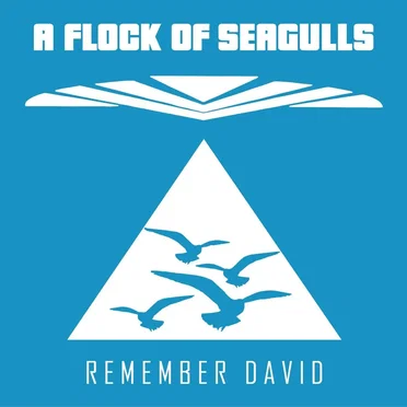 Remember David
