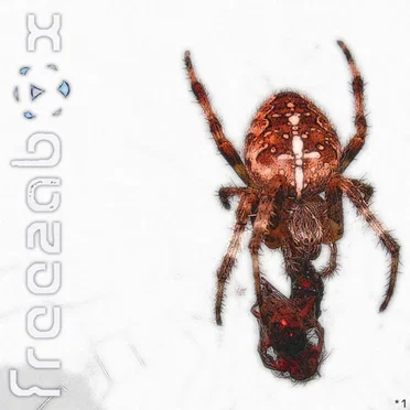 Beaches Lakes Spiders & Snakes