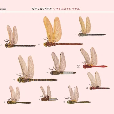 Luftwaffe Pond