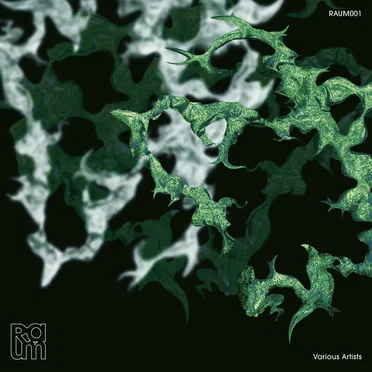 RAUM VA 001 by Various Artists - album cover