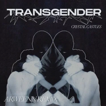 Transgender (Arweenn edit) by Arweenn - album cover