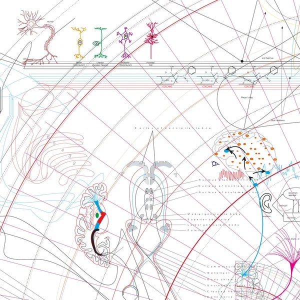 My Choices Are Not My Own