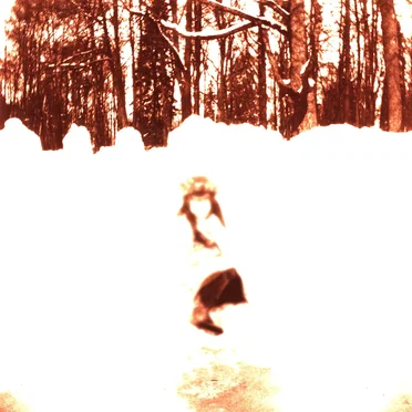 Healing Fields by Kairon; IRSE! - album cover