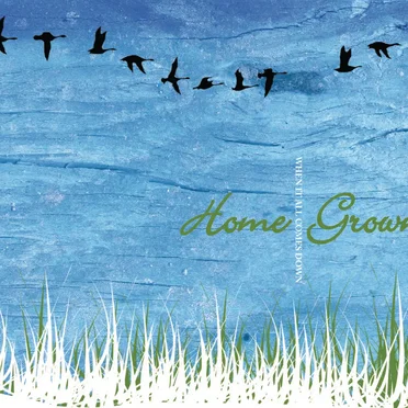 When It All Comes Down by Home Grown - album cover