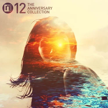 Intrigue 12: The Anniversary Collection by Various Artists - album cover