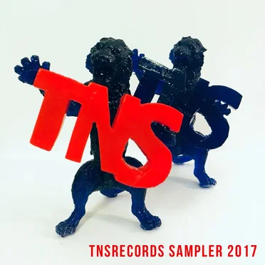 TNSrecords Sampler 2017 by Various Artists - album cover