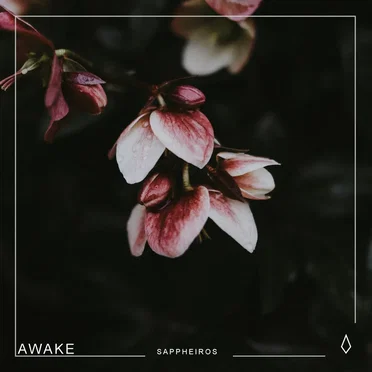 Awake