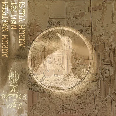 Aurum Nostrum Non Est Aurum Vulgi