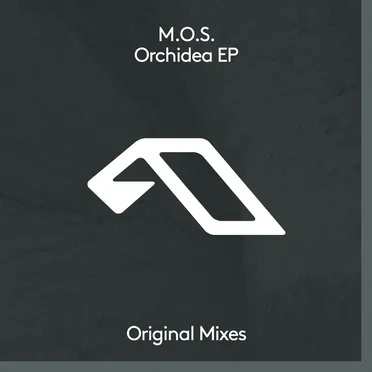 Orchidea