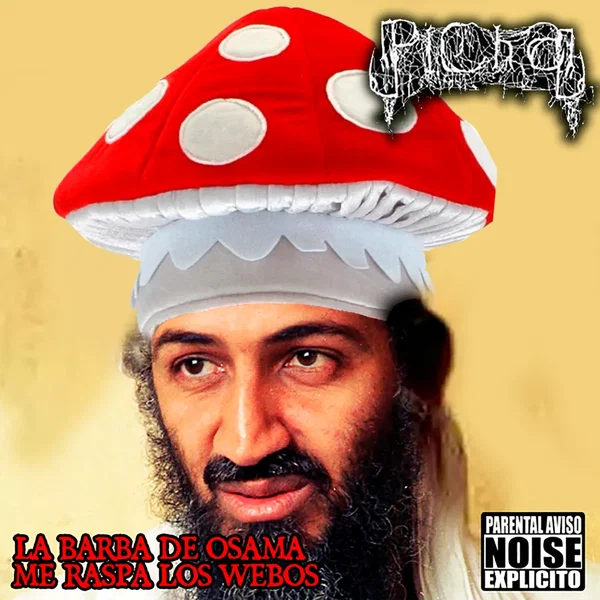 La barba de osama me raspa los webos