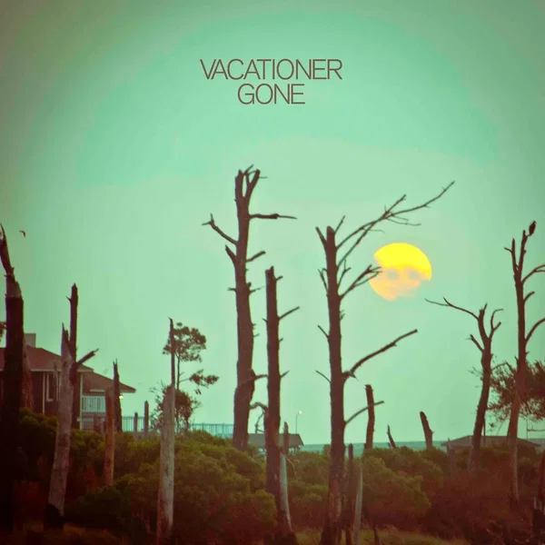 Gone