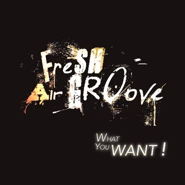 What You Want! by FRESH AIR GROOVE - album cover
