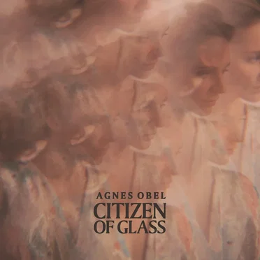 Citizen of Glass (instrumental)