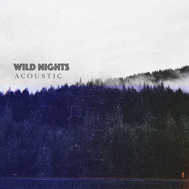 Wild Nights (acoustic)