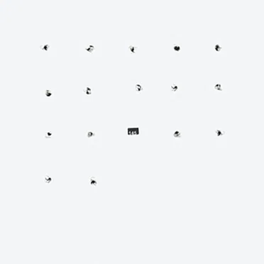 FatCat Split Series #16