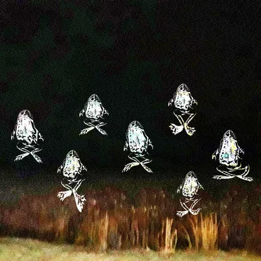 The Haunted Froglands 2