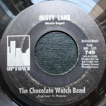 Misty Lane / She Weaves a Tender Trap
