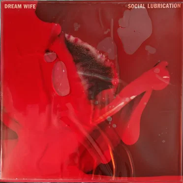 Social Lubrication by Dream Wife - album cover