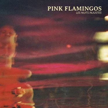 Les Nuits Injustes by Pink Flamingos - album cover