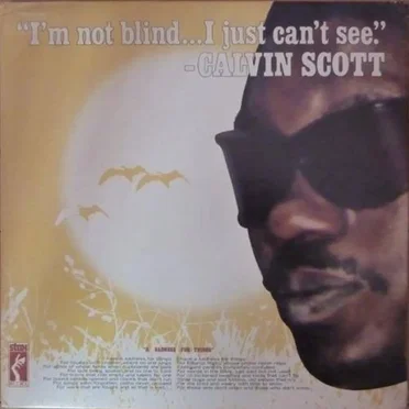 I'm Not Blind...I Just Can't See by Calvin Scott - album cover