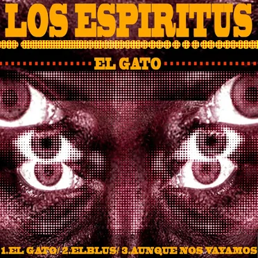 El gato