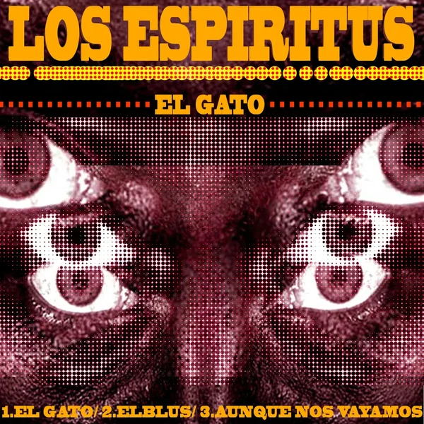 El gato