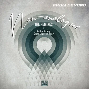 Non‐analogue (The Remixes)