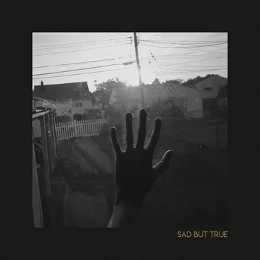 Sad But True by Caleb Cameron - album cover