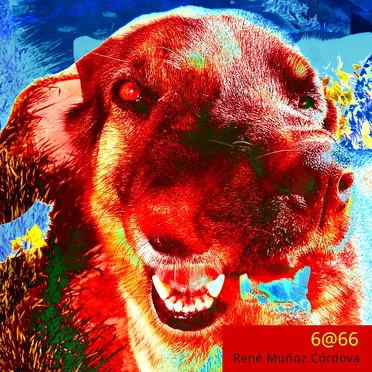 6@66 by René Muñoz Córdova - album cover