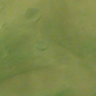 Bubbles