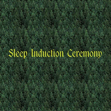 Sleep Induction Ceremony by Strange Process - album cover