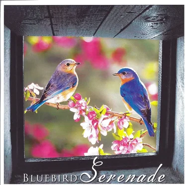 Bluebird Serenade by Various Artists - album cover