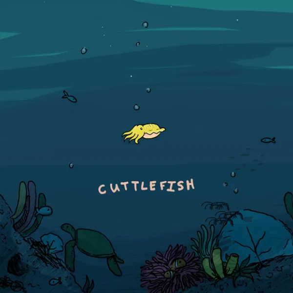 Cuttlefish