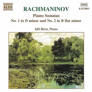 Piano Sonatas no. 1 in D minor / no. 2 in B-flat minor