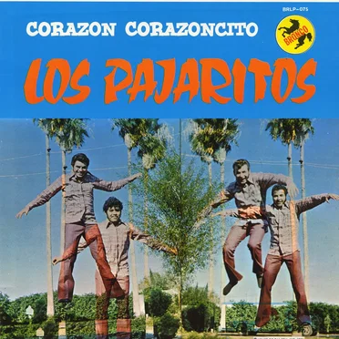 Corazón corazoncito