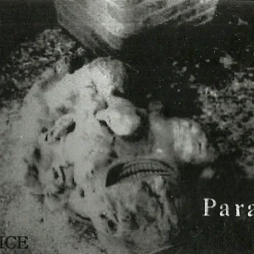 プロトタイプの願望 / Paranoia by SACRIFICE - album cover